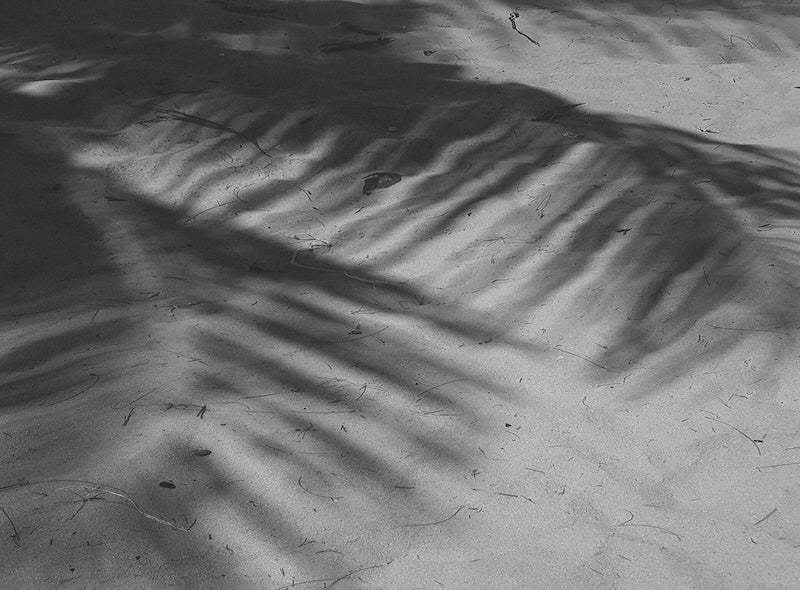 Monthly Spotlight September 2023: AFSP, A Deeper Dive