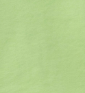 Los Angeles Sweat Shorts in Green