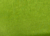 Foley Crop Top in Green