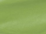 Night Out Pleather Skort in Olive
