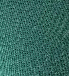 Abbie Long Sleeve in Green